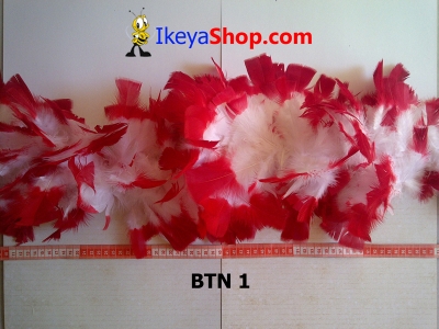 BTN 1  large2